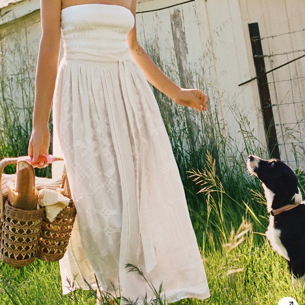 NWOT Anthropologie Forever that Girl Burnout Lace Maxi Skirt